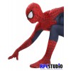 TASM2 (SET D) WITH 3D WEBBING SLICK BLACK PUFFYPAINT & EMBOSS FRONT SYMBOL