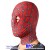 Detach mask (with zipper), without faceshell/lenses -$40.00